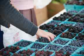 Blueberry Clafouti