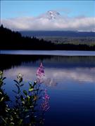 Misty-Mt-Hood